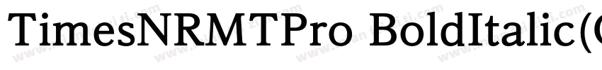 TimesNRMTPro BoldItalic(OTF)字体转换